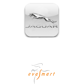 Автоковрики для Jaguar