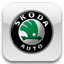 3D коврики EVA с бортами для Skoda (Шкода)